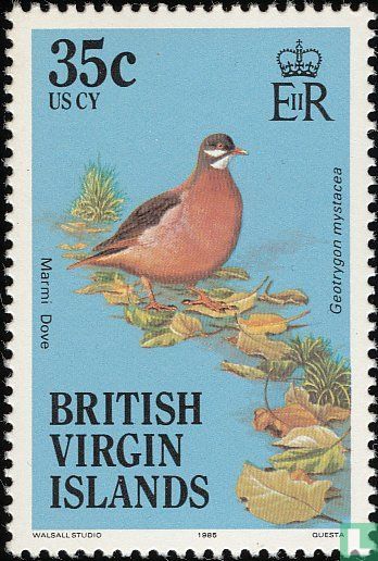 Oiseaux