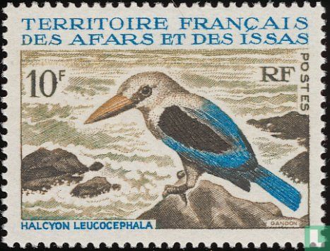 Grey-headed kingfisher