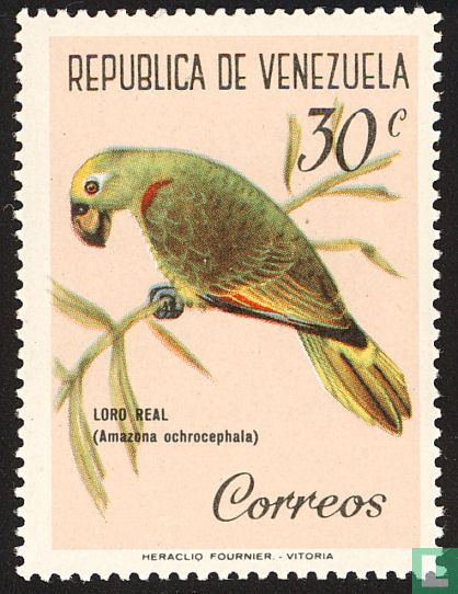 Birds