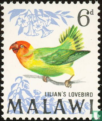 Birds