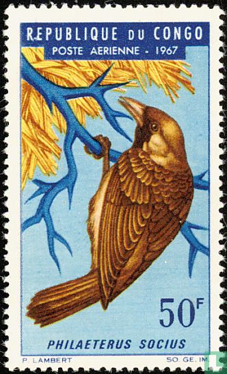 Birds
