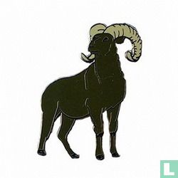 Big Horn Sheep