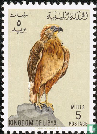 Vögel