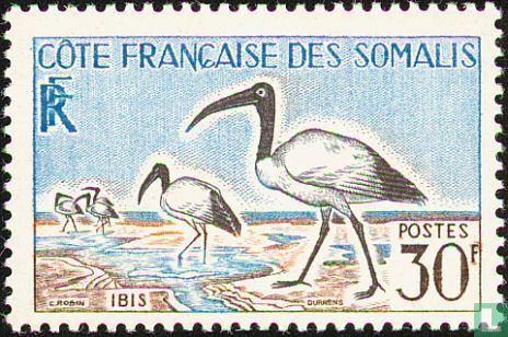 Heilige ibis