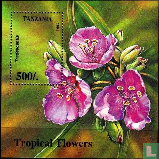 Fleurs tropicales                                                           