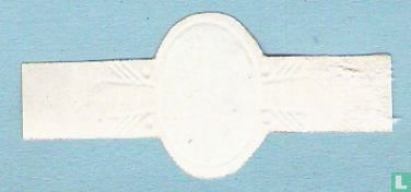 Gilden 31