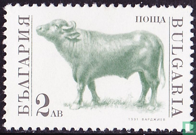 Bull