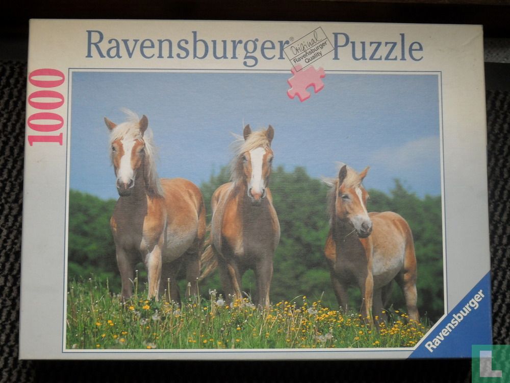 Drie paarden