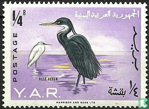 Vögel