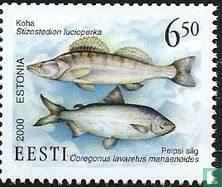 Fische