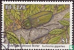 Beetle