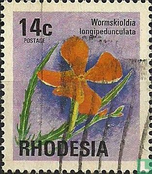 Wormskioldia longipedunculata