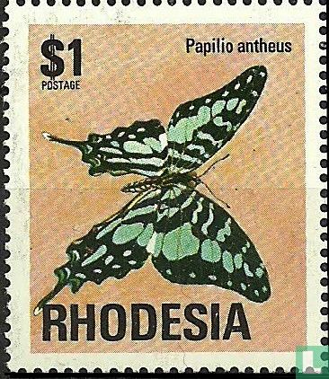 Papilio antheus