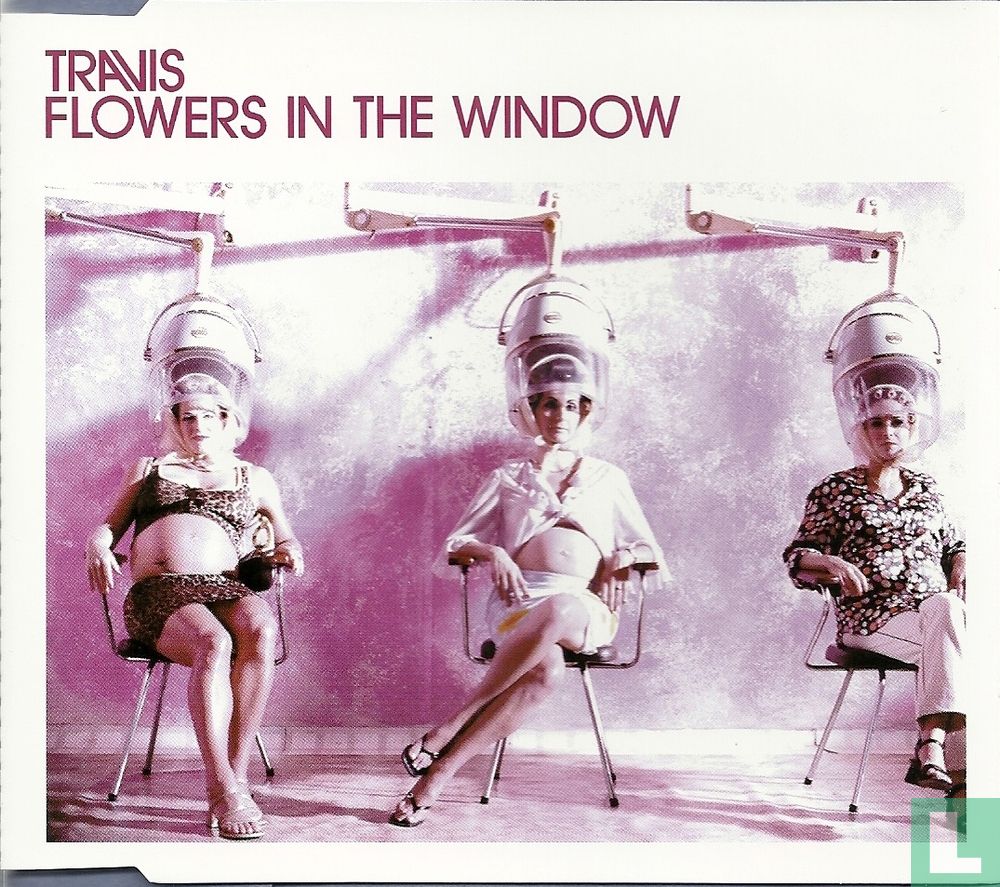 Flowers in the window