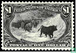 Western Cattle in Storm