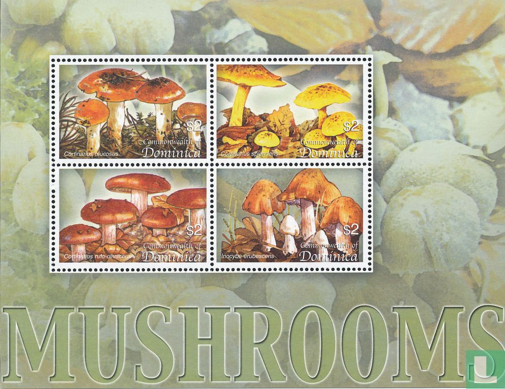 Champignons        