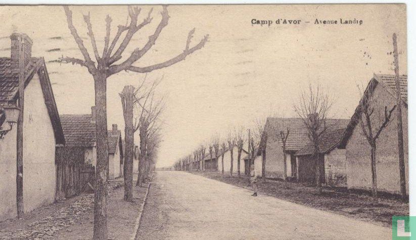 Camp d'Avor