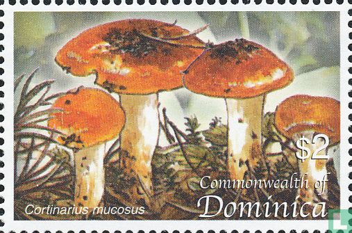 Champignons      
