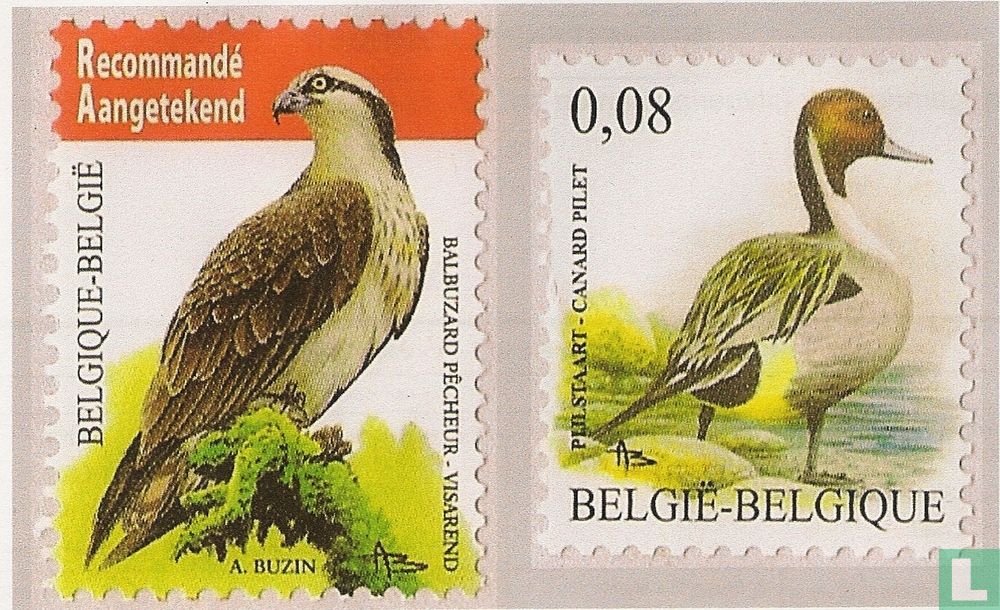 Birds