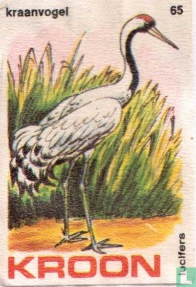 Kraanvogel