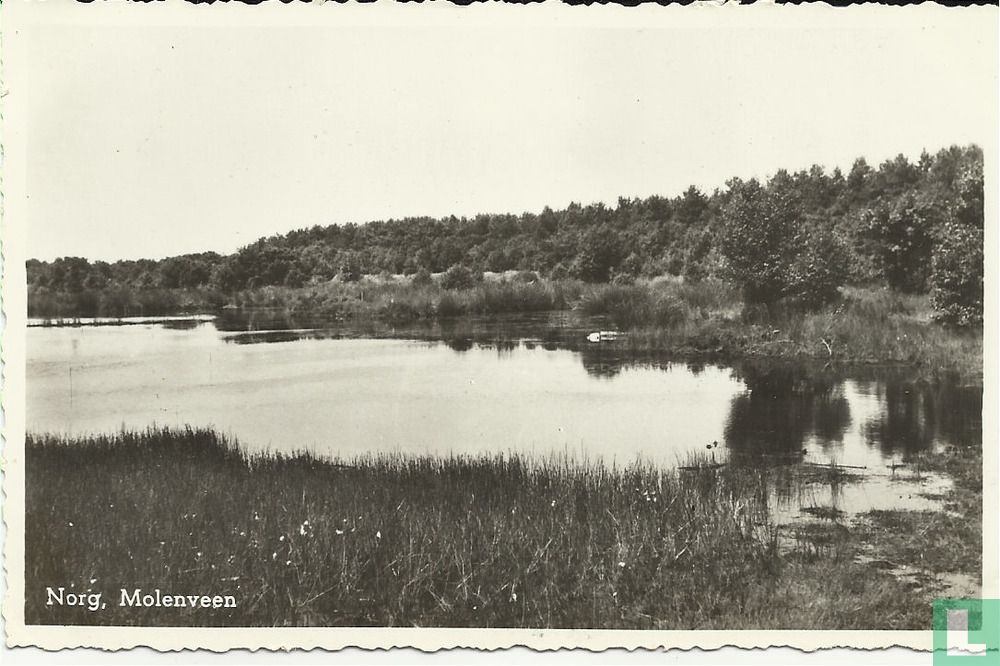 Norg, Molenveen