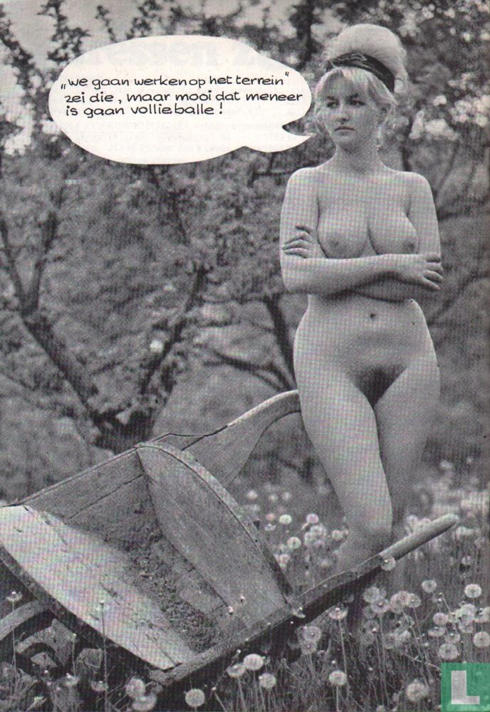 Zonnewijzer 10
