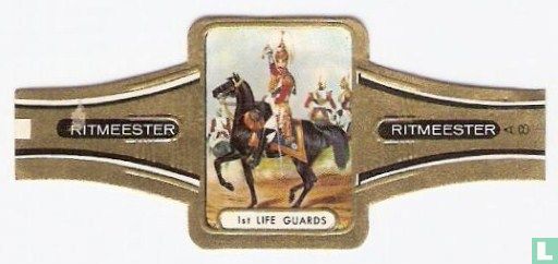 1st Life Guards