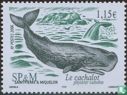 Whales