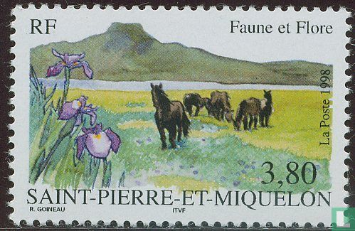 Horses