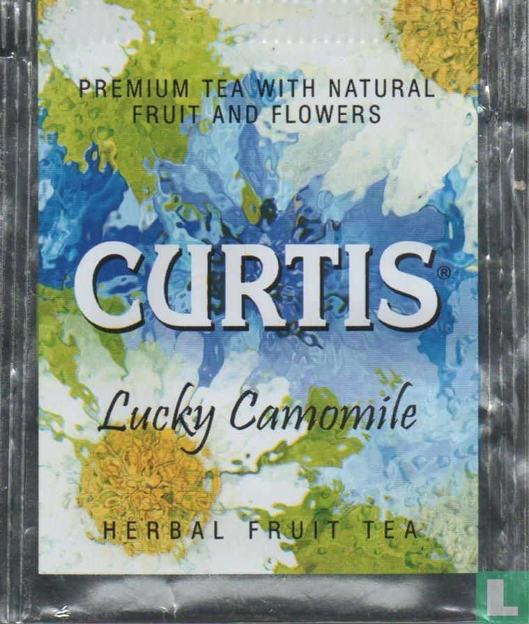 Lucky Camomile