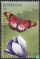 Papillons et oiseaux
