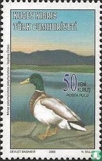 Vogels 