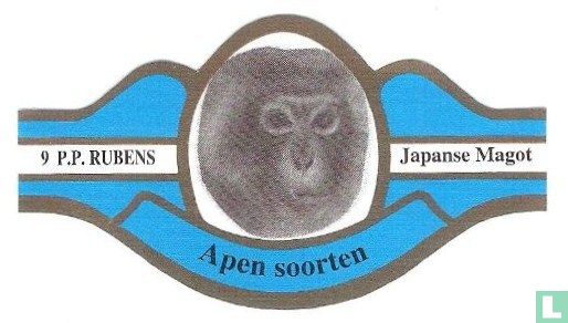 Japanse Magot