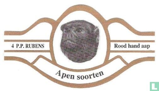 Rood hand aap