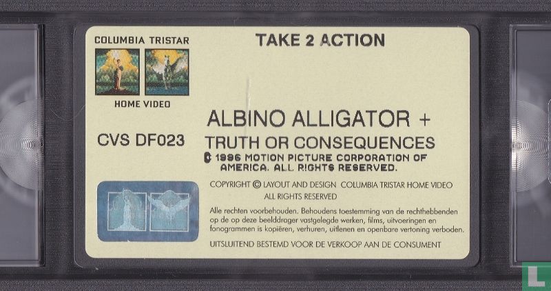 Albino Alligator + Truth or Consequences N.M.