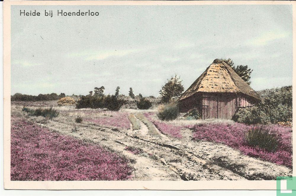 Heide bij Hoenderloo