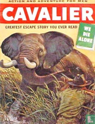 Cavalier 36