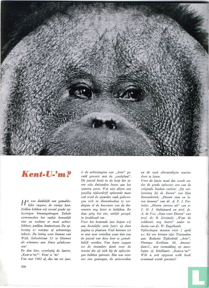 Artis 6