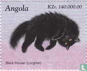 Katzen - Schwarzer Perserkatze