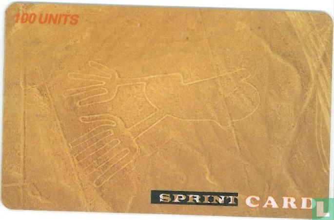 Sprint Card