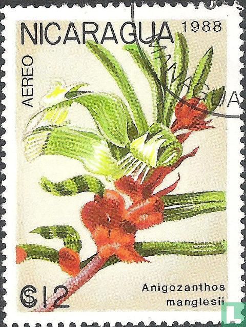 Flore - Fleurs indigènes