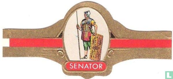 Romeinse soldaat ± 100 v. Chr.
