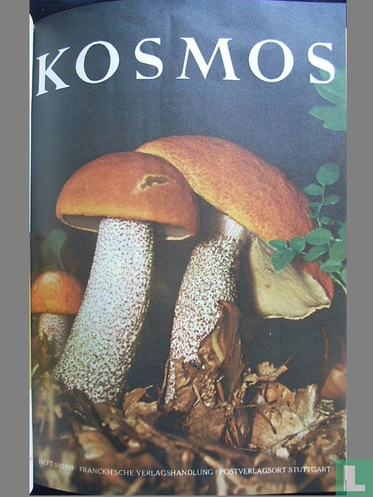 Kosmos 10