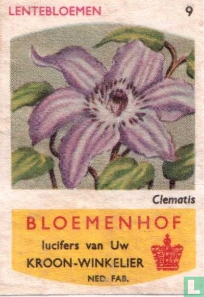 Clematis