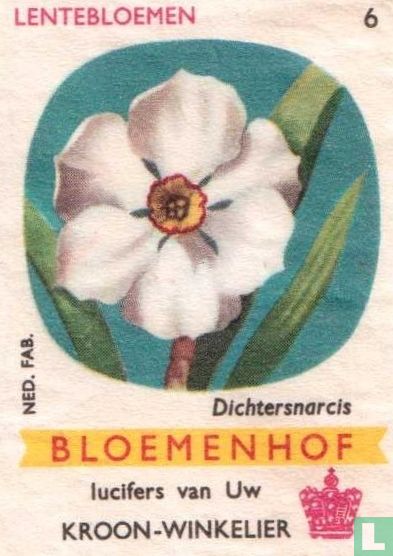 Dichtersnarcis