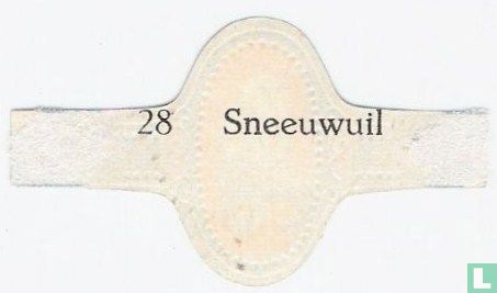 Sneeuwuil