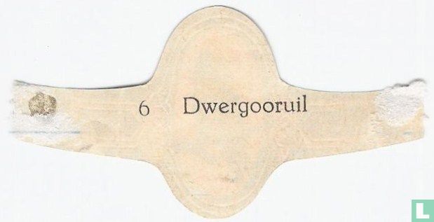 Dwergooruil