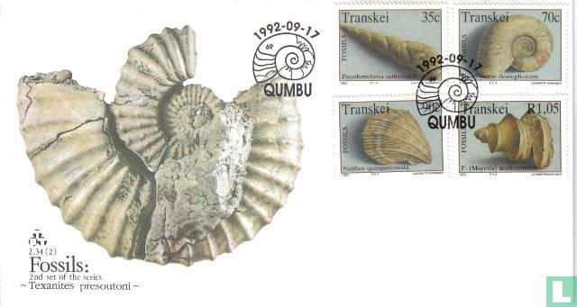 Fossils