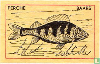 Perche Baars