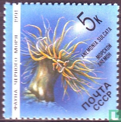 Faune de la mer Noire
